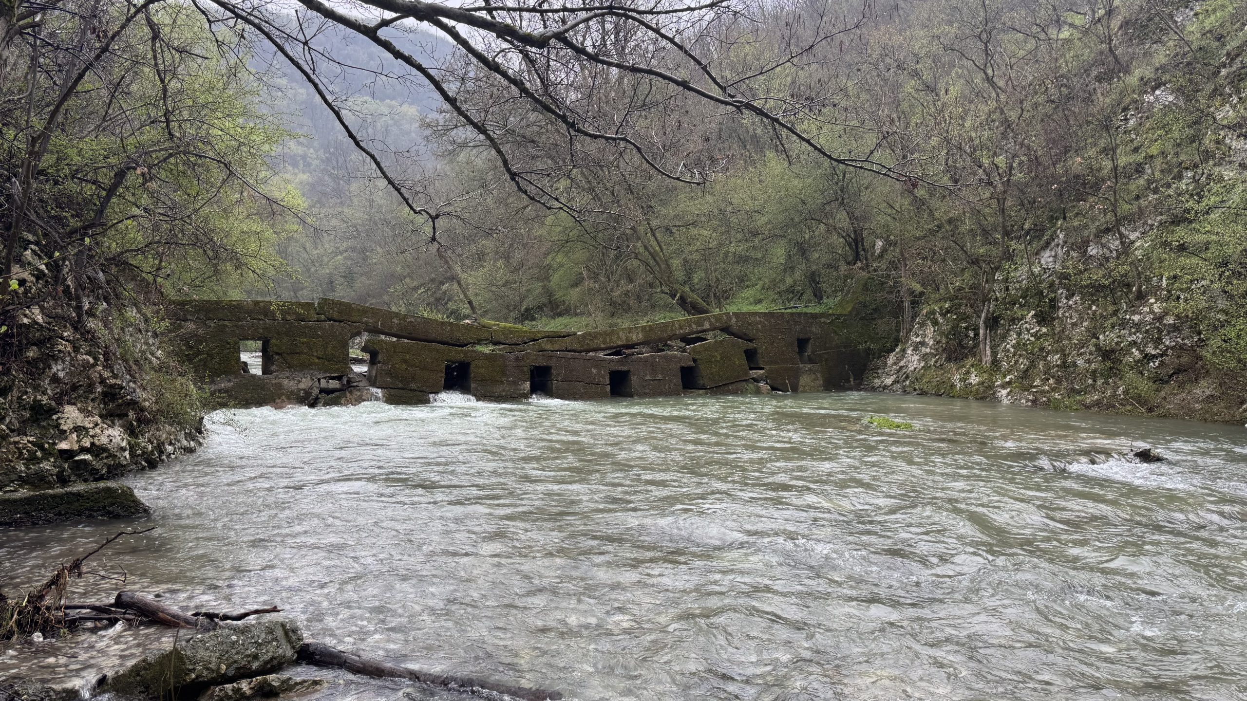 Весна, Градац, сморчки